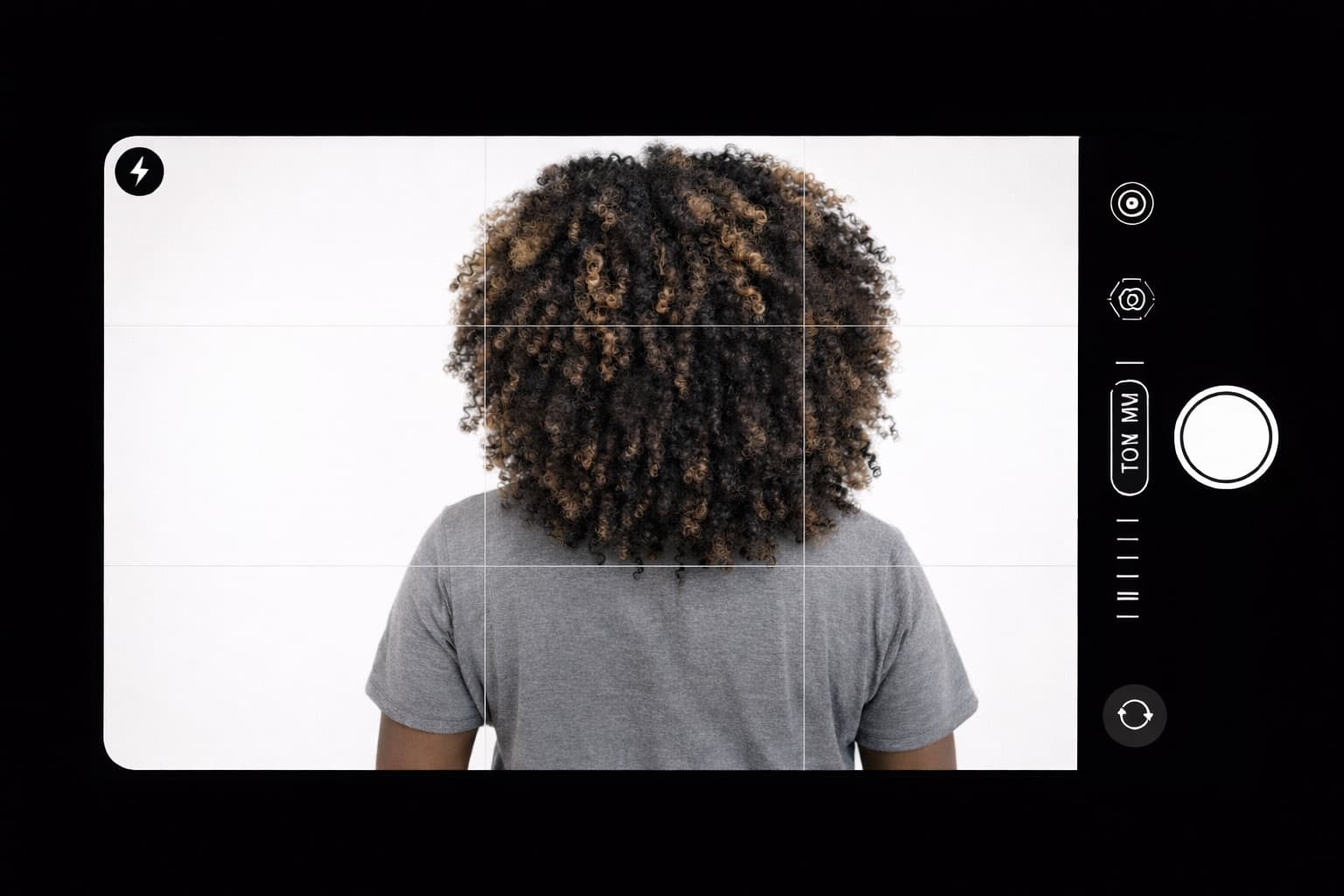 Crown Texture Scan